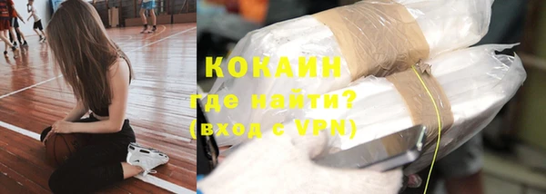 индика Балабаново