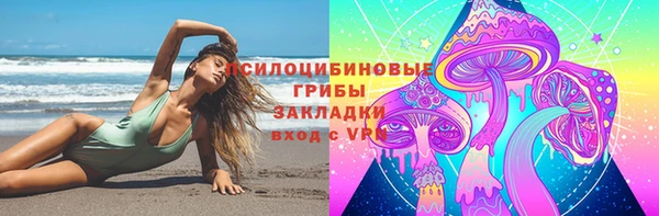 индика Балабаново