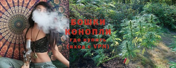 индика Балабаново