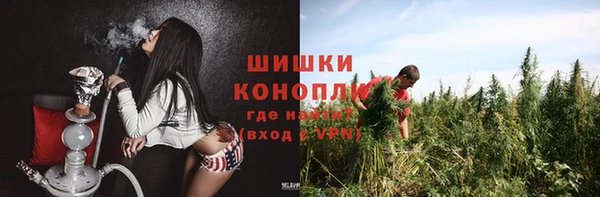 индика Балабаново
