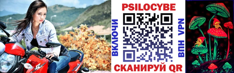 Псилоцибиновые грибы Psilocybine cubensis  Куса 
